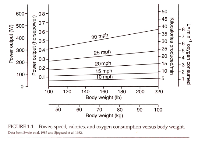 Exercise Watts Chart